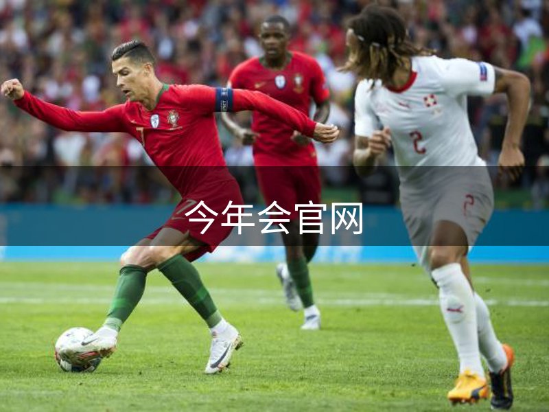 关于本站